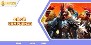 Đá gà campuchia
